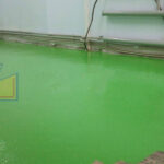 floor-01-poliline-11-001